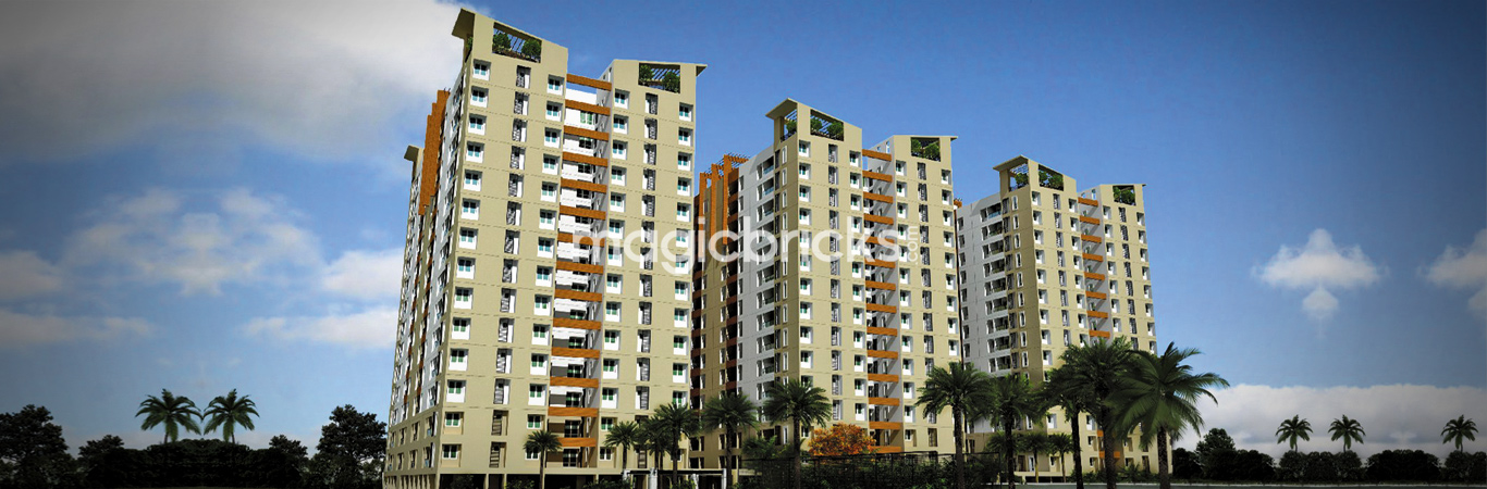 akila home akila home
