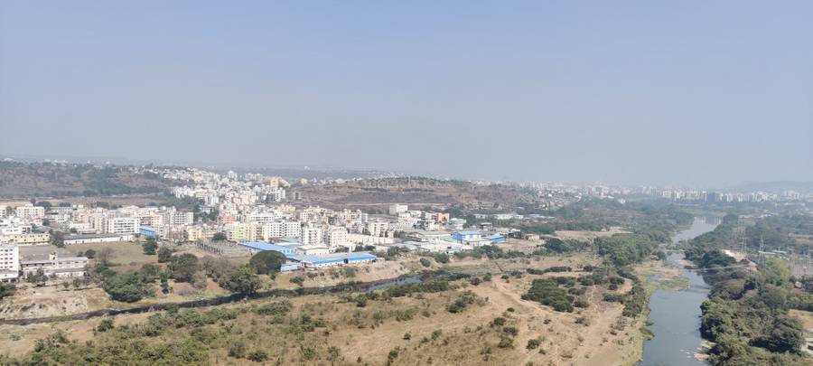 Picture of Warje