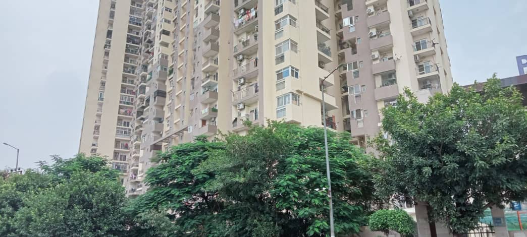Sector 137, Noida: Map, Photo, Video, Price Trends, Full Locality Guide