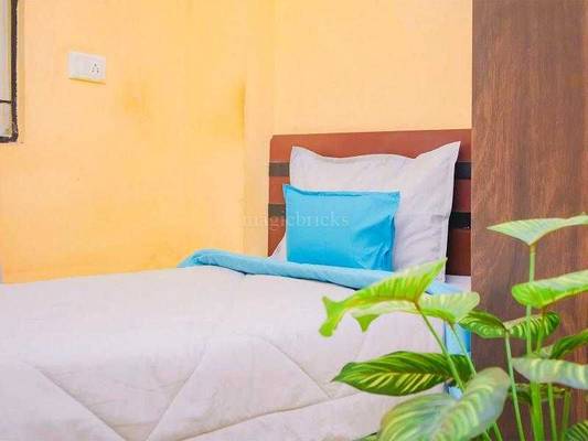 Zolo Zenn PG/Paying Guest 