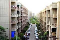 Find 15 Single Room For Rent In Sector 82 Sector 82 is a residential area in noida, uttar pradesh having apartments / flats. 15 single room for rent in sector 82