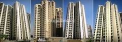 Pan Oasis Rent 66 Flats For Rent In Pan Oasis Noida Homebuyers in pan oasis residential society in sector 70 on monday met noida authority officials seeking action against the developers of the project for giving possession of flats without obtaining an occupancy certificate and reneging on promised facilities. 66 flats for rent in pan oasis