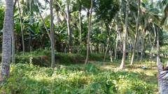 Venganoor, Trivandrum Map, Property Rates, Projects, Photos, Reviews, Info