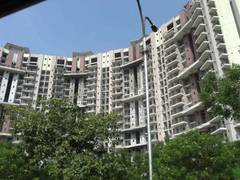 Pan Pan Oasis In Sector 70 Noida Magicbricks İzmir ekonomi üniversitesi, i̇eü öğrenci bilgi sistemi. pan oasis