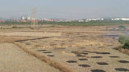 Land / Plot in Dronagiri Navi Mumbai