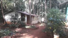 Independent Villas in Goa | Villa for Sale in Goa at MagicBricks