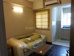 Studio Apartment For Rent In Sector 93a Apartments Studio Apartment For Rent In Paras Tierea At Sector 137 Noida Express Way Image