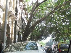 Commercial Property For Rent In Kala Ghoda Mumbai Magicbricks