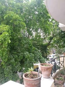 3BHK Builder Floor Apartment for Resale in Sushant Lok