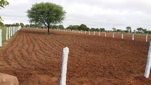 Land / Plot in Moinabad Hyderabad