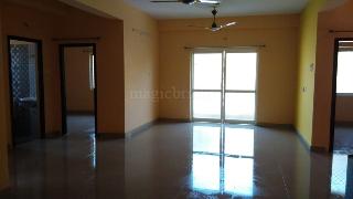 Flats For Rent In Rk Beach Visakhapatnam