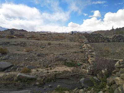 Corner Plots in Leh: 1+ Corner Plots for Sale in Leh