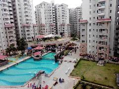 Springfield Apartment In Sarur Road Bangalore Image