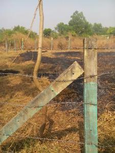 Land / Plot in Palghar Palghar