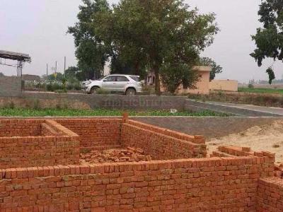 Land / Plot in Noida Extension Greater Noida