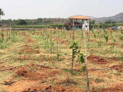 Buy Agricultural Land In Bangalore 12 150 Sq M Posted By Owner Highway 69