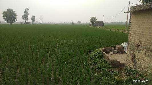 Agriculture Land for Sale in Khera Khurd, New Delhi