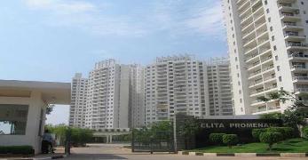 Flats for Rent in JP Nagar Phase 7, Bangalore