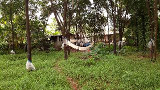 Agricultural Farm Land For Sale In Dakshina Kannada Magicbricks