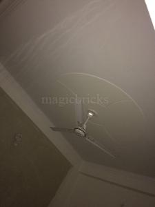 1BHK Builder Floor Apartment for New Property in DLF Ankur Vihar 1BHK Builder Floor Apartment for New Property in DLF Ankur Vihar