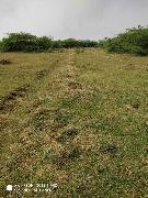 Residential Plots Land For Sale In Valarpuram Chennai Best doctors in valarpuram, chennai. land for sale in valarpuram chennai