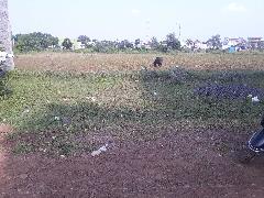 Residential Plots Land For Sale In Airport Road Bhopal All india womens conference bhopal. land for sale in airport road bhopal