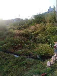 Land / Plot in Noida Extension Greater Noida