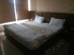 Find 10 Single Room For Rent In Adarsh Nagar