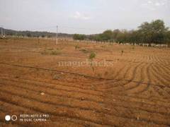 Agricultural Farm Land For Sale In Shadnagar Hyderabad