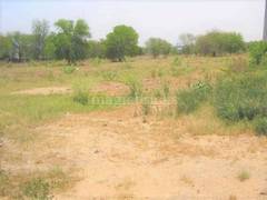 Agricultural Farm Land For Sale In Pataudi Gurgaon The princely state of pataudi was founded in 1806 by the pashtun adventurer fa'iz talab khan, and covered an area 137 km². farm land for sale in pataudi gurgaon