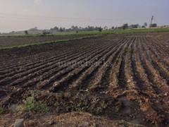 Agricultural Farm Land For Sale In Mhow Indore Now buy best agriculture land for sale near vidisha,and other cities in madhya pradesh like guna, rewa. farm land for sale in mhow indore