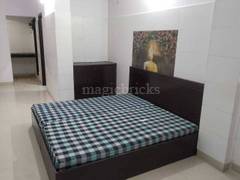 Find 167 Single Room For Rent In Sector 24 It's a 1 bhk independent house situated in sector 31, gurgaon. 167 single room for rent in sector 24