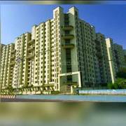 Swapnapurti Chs Resale Price Flats Properties For Sale In Swapnapurti Chs Navi Mumbai Cidco lig sample flat same for new projects of taloja, dronagiri, kharghar, ghansoli and kalmaboli. swapnapurti chs resale price flats