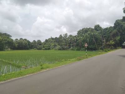 Buy Agricultural Land In Sacheripete Udupi 52 Sq Ft Posted By Owner