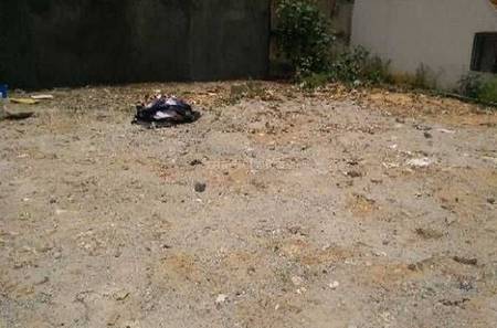 4000 Sq Ft Residential Plot Land For Sale In Hsr Layout Bangalore Near To The Hsr Bda Shopping Complex Tortoises are an ideal choice for pet parents looking to handle their reptile.
