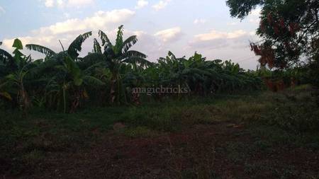 Buy Agricultural Land in Hyderabad - 4 Acre | Posted by ...