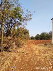 Buy Agricultural Land in Zaheerabad,Hyderabad - 12 Acre ...