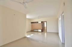 Mjr Pearl Rent 16 Flats For Rent In Mjr Pearl Bangalore