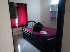 Room For Rent In Kochi Single Room For Rent In Kochi