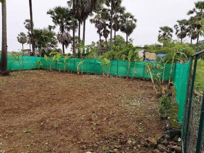 Land / Plot in Vasai Mumbai