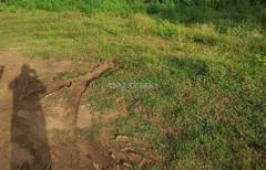 Residential Plots Land For Sale In Kokapet Hyderabad A real estate company paid rs.12.63 crore for an acre in. land for sale in kokapet hyderabad