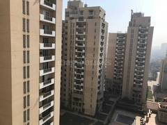 Emaar The Palm Springs Resale Price Flats Properties For Sale In Emaar The Palm Springs Gurgaon Palm drive looked promising in terms of flat quality, amenities and approach. for sale in emaar the palm springs gurgaon