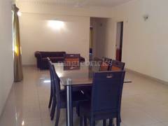 Zen Garden Rent 4 Flats For Rent In Zen Garden Bangalore