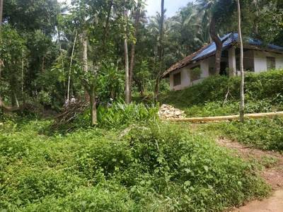 30 Cent Residential Plot Land For Sale In Nanminda Kozhikode Posted By Owner