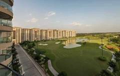 Ambience Lagoon Rent 12 Flats For Rent In Ambience Lagoon Gurgaon