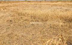 Chirle In Navi Mumbai Overview Map Avg Price Rs 6492 Sqft Magicbricks Residential plots / lands for sale in chirle, navi mumbai. chirle in navi mumbai overview map