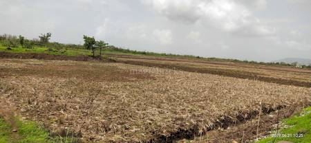 4100 Sq Ft Residential Plot Land For Sale In Chirle Navi Mumbai Near Ranjanpada Railway Station It is aimed at connecting the suburbs of the city. magicbricks