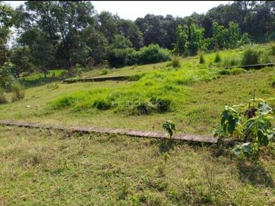 1800 Sq Ft Residential Plot Land For Sale In Dubagga Lucknow Posted By Owner 1800 Sq Ft Residential Plot Land For Sale In Dubagga Lucknow Posted By Owner