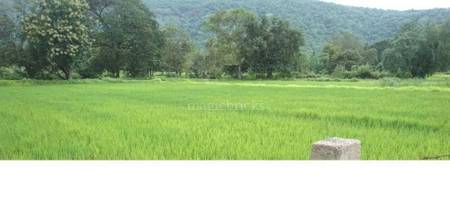 Land / Plot in Karjat Thane