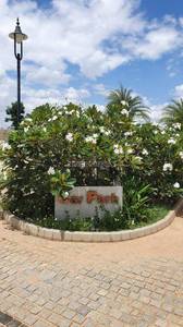 Land / Plot in Sarjapur Bangalore